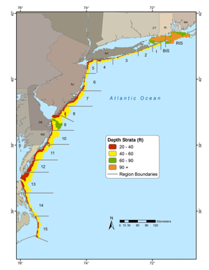 NEAMAP sampling area including region boundaries and depth strata.